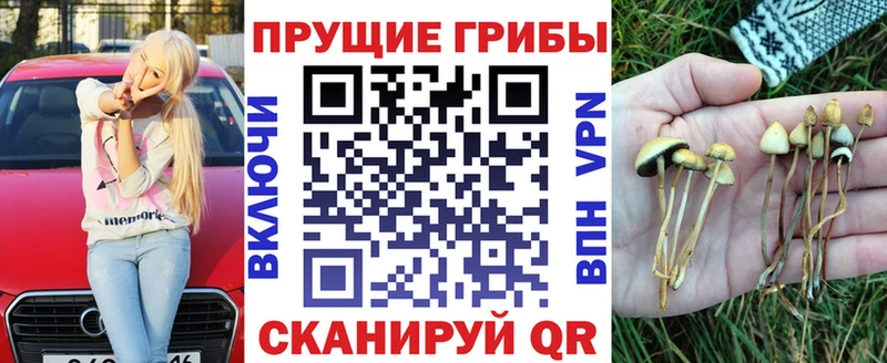 Галлюциногенные грибы мухоморы Пошехонье